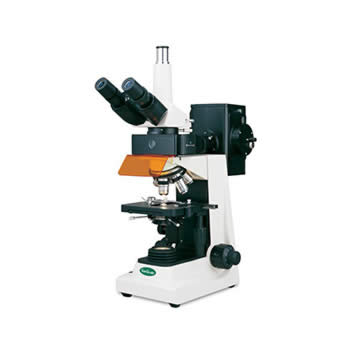 Fluorescence Microscopes – Vee Gee Vanguard