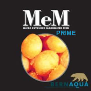 MEM Prime – Bernaqua