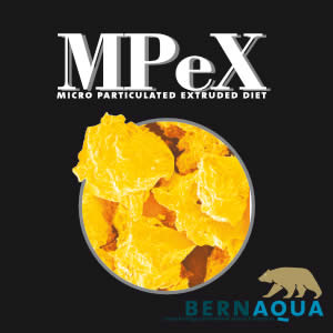 Mpex – Bernaqua