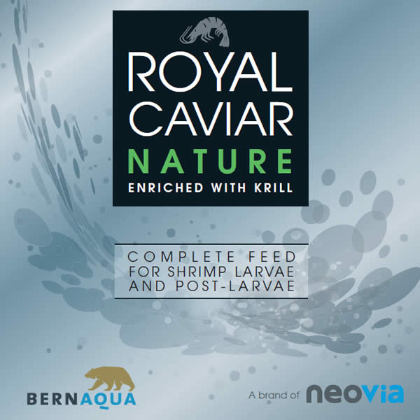 Royal Caviar Nature – Bernaqua