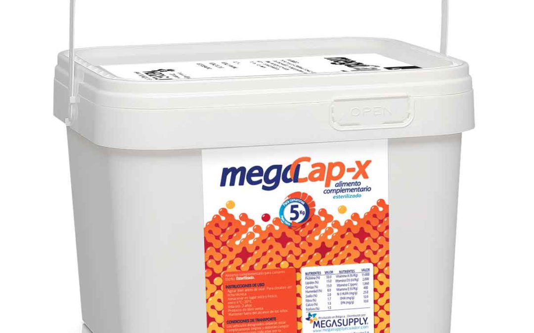 MegaCap-X – Megafeeds